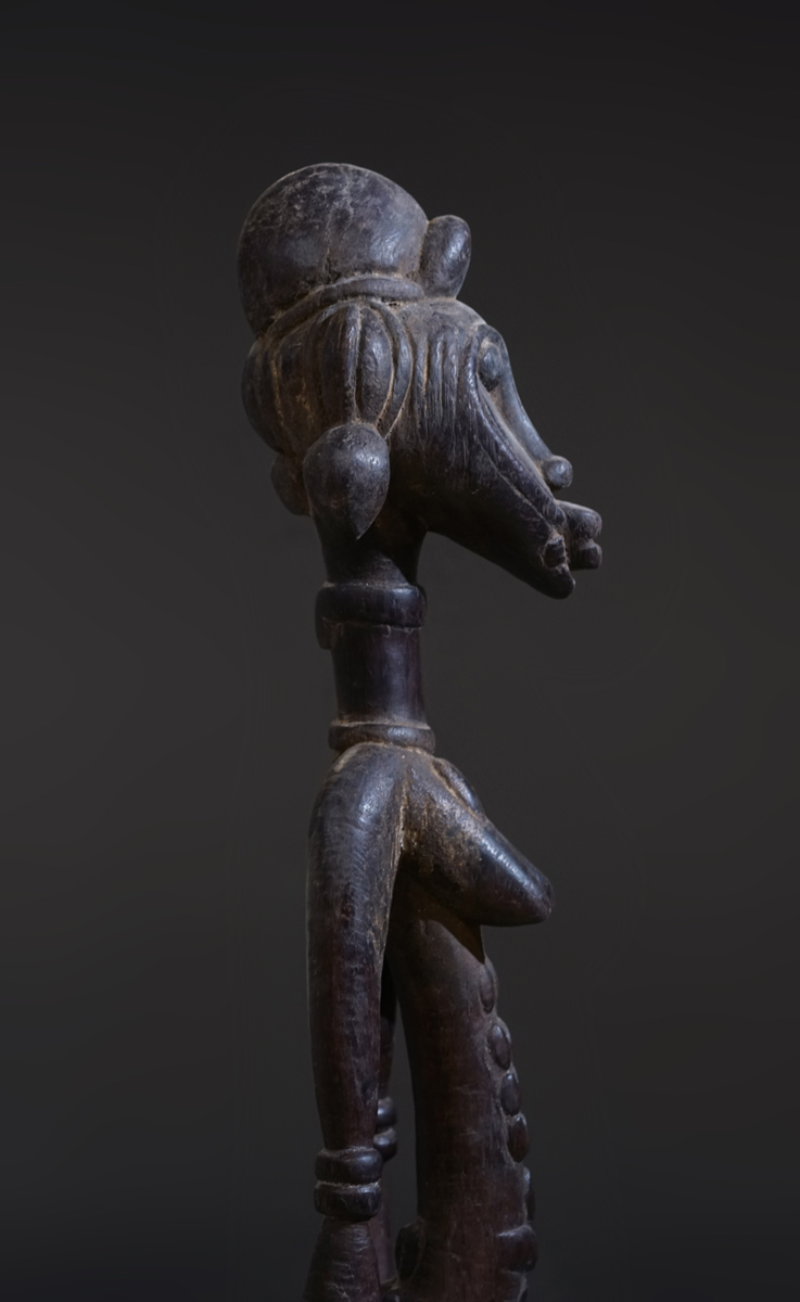 GSC02843