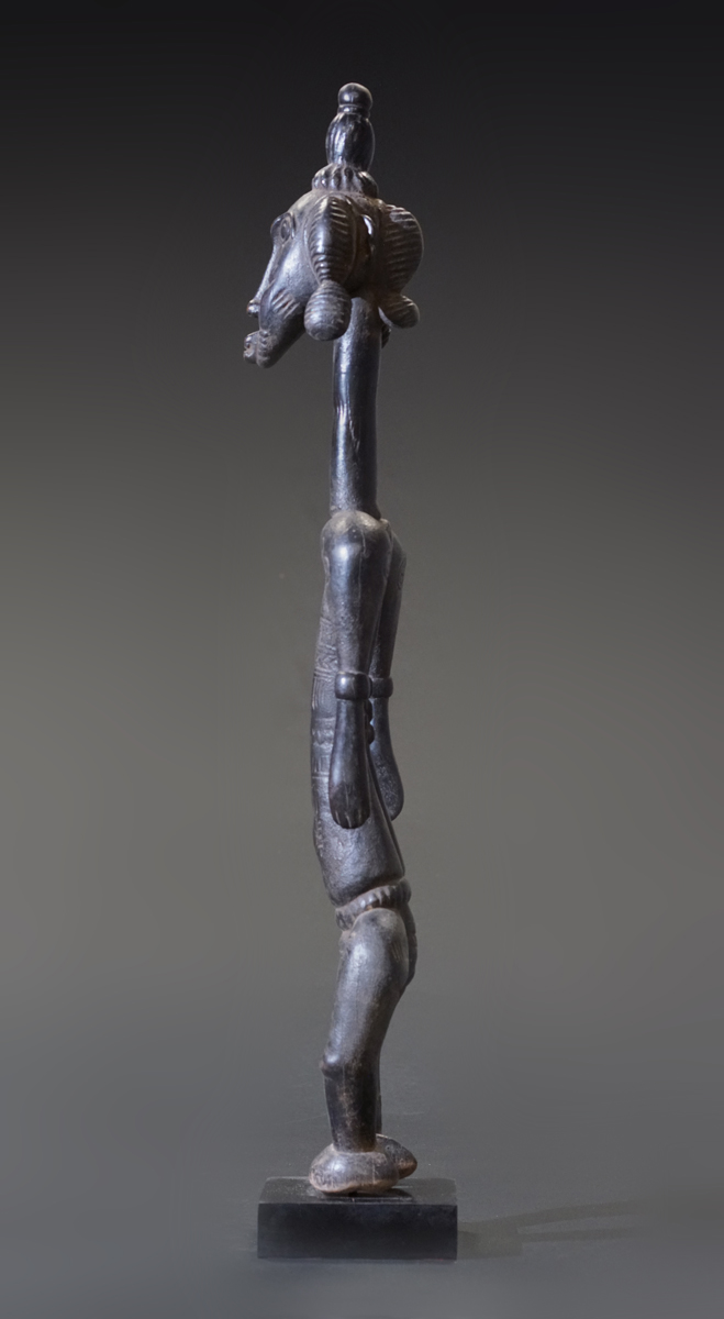 GSC03605