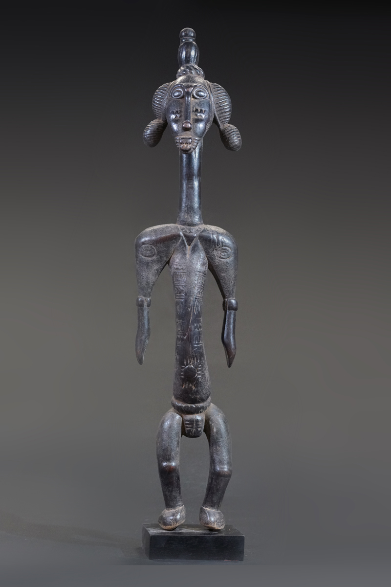 GSC03625