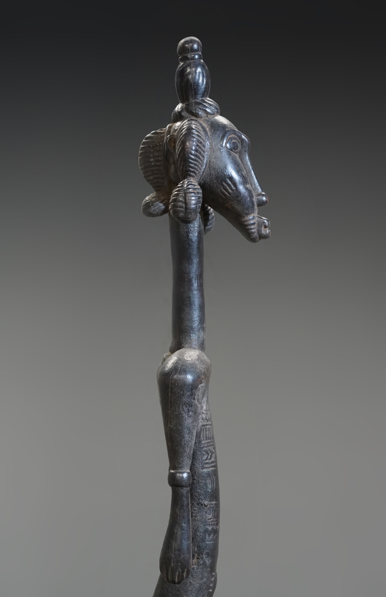 GSC03648