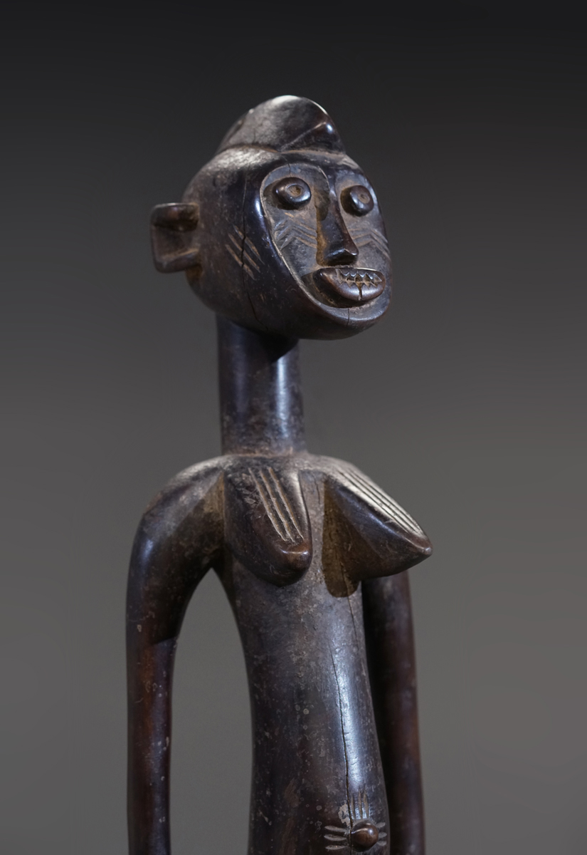GSC03959