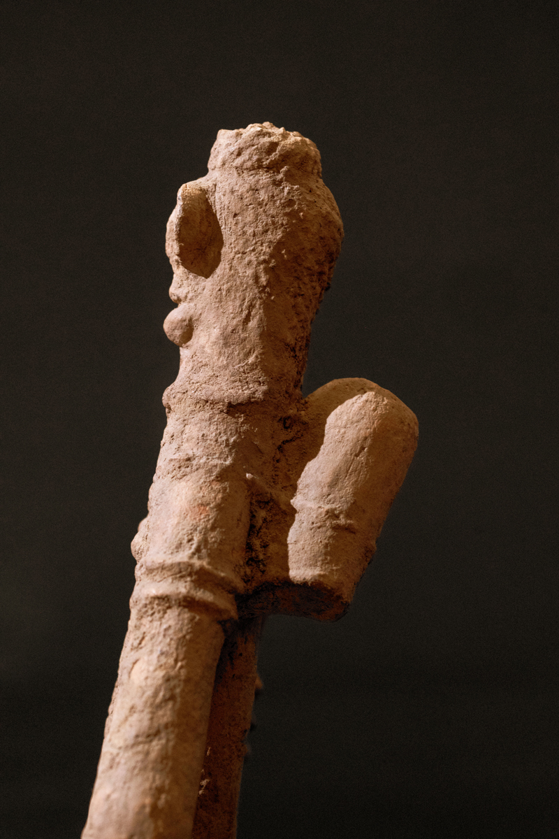 GSC08954