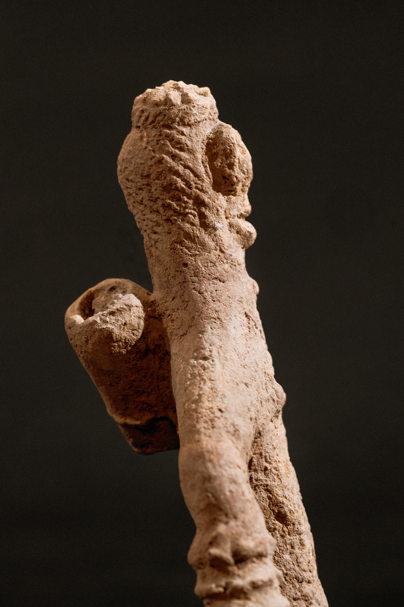 GSC08959