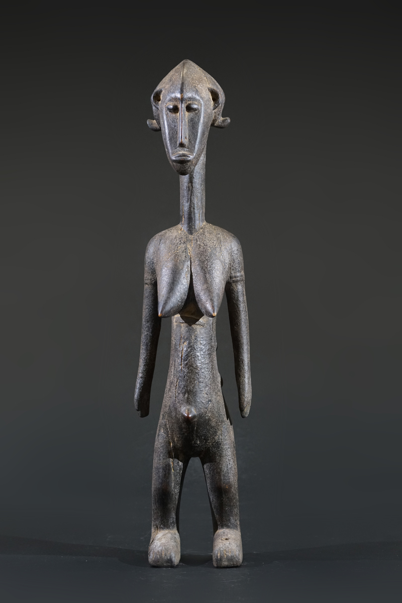 GSC09498
