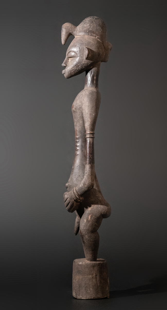 GSC09582