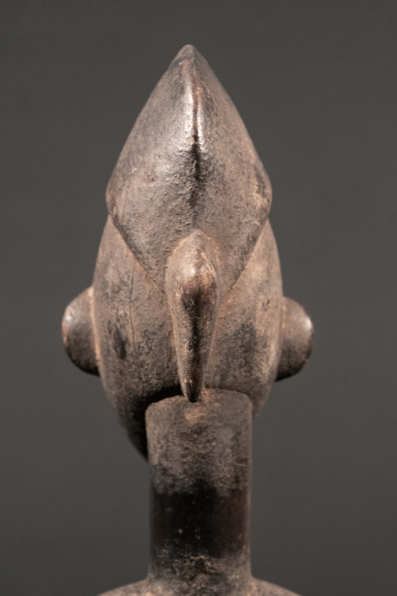 GSC09668
