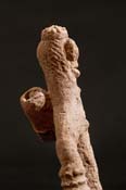 GSC08959