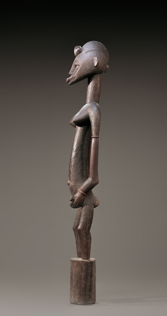 GSC00445