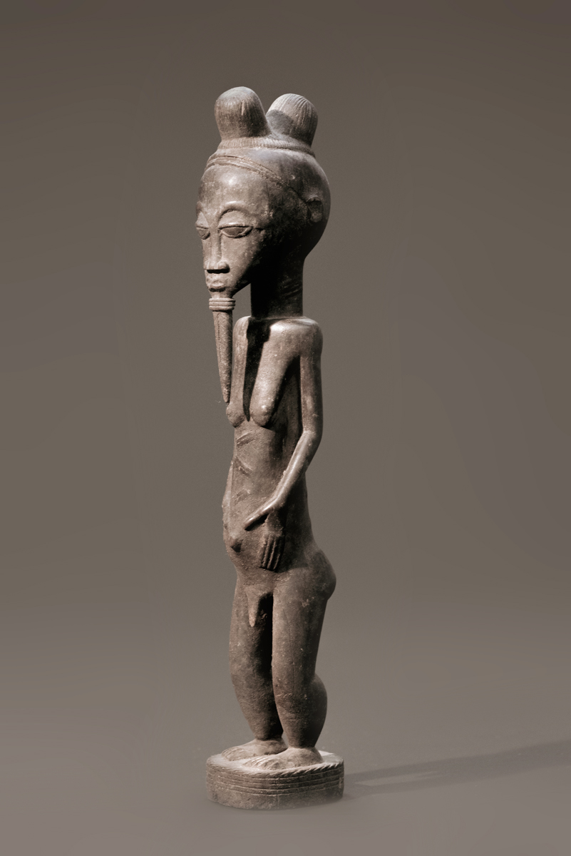 GSC00538