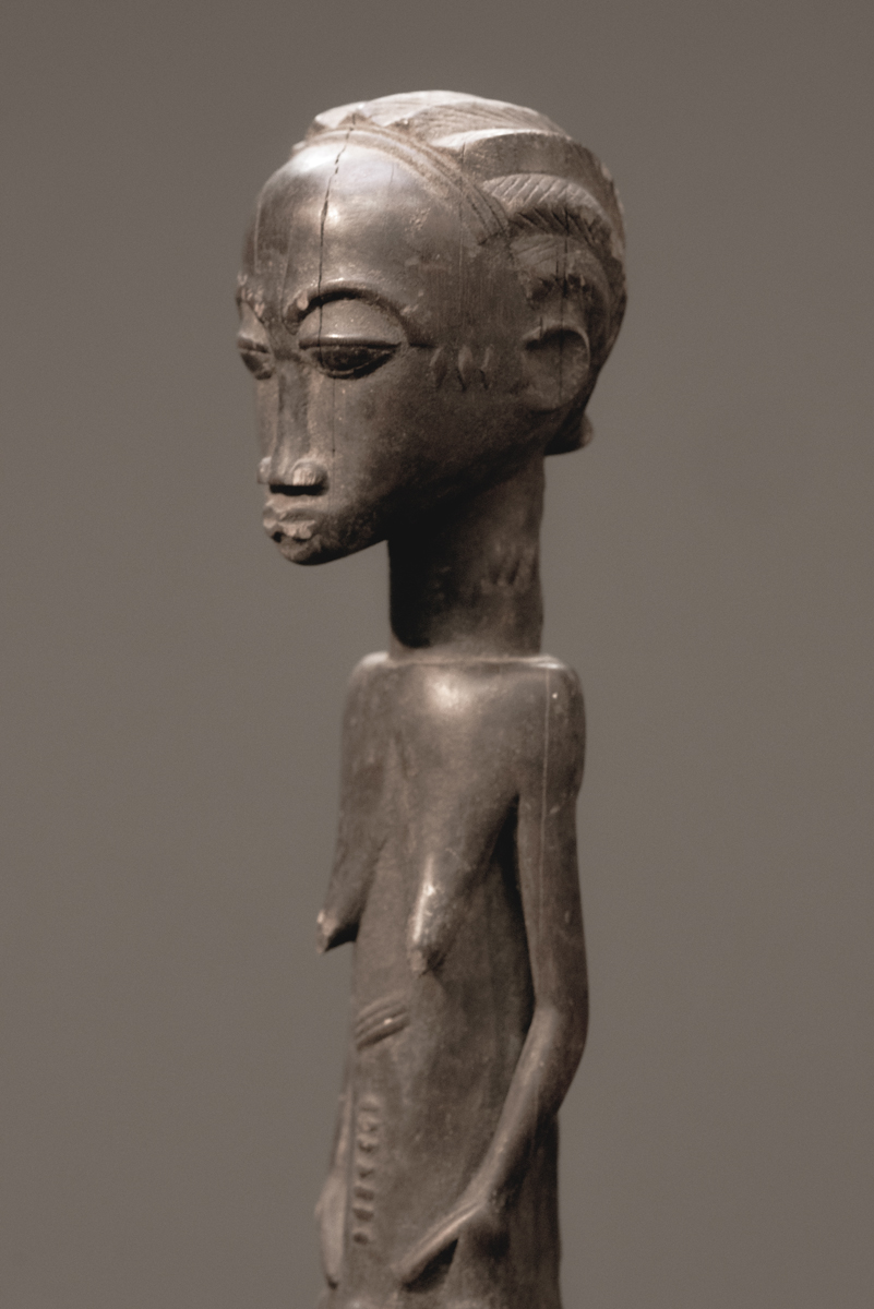 GSC00678