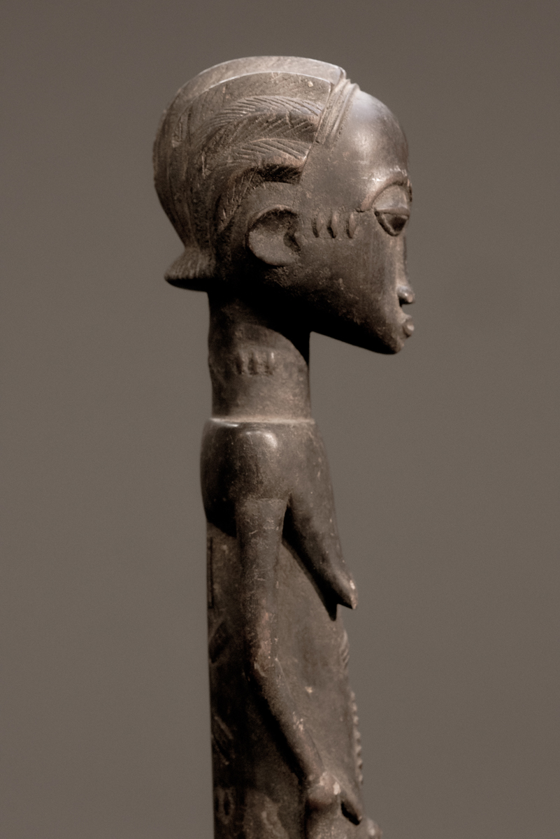 GSC00697