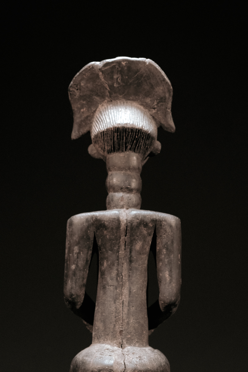 GSC01212