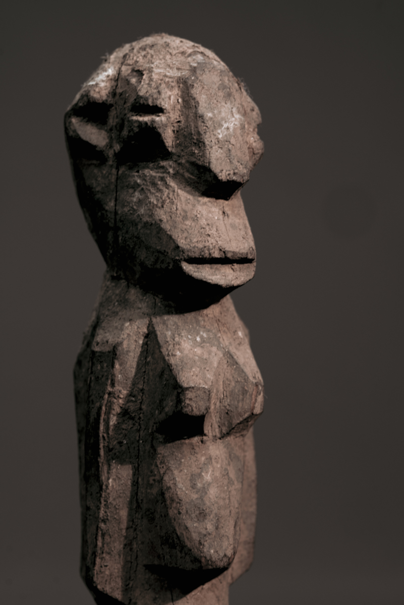 GSC02987