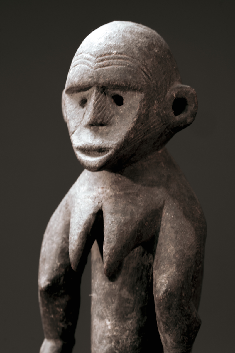 GSC03237