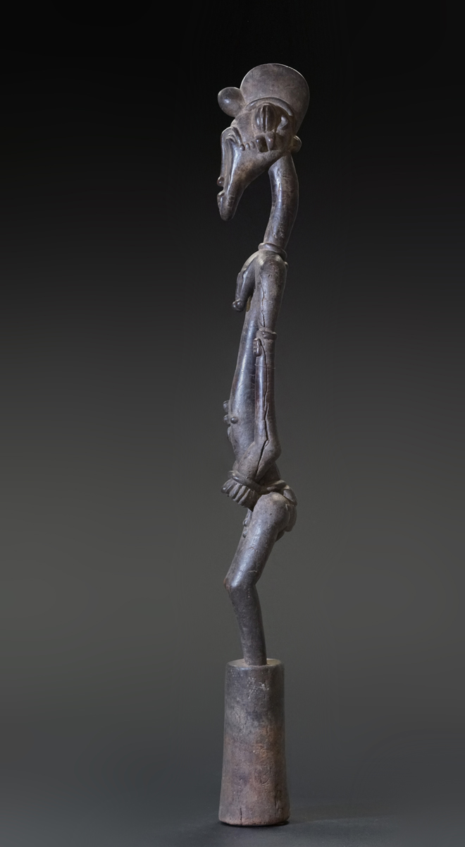 GSC00833