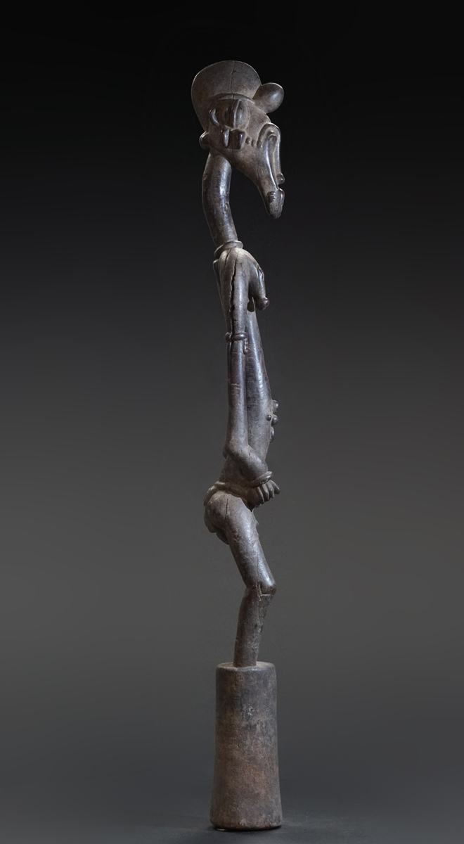 GSC00843