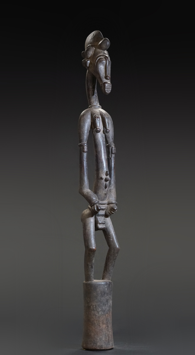 GSC00848