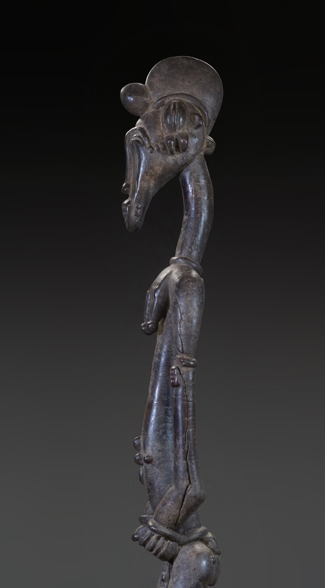 GSC00864