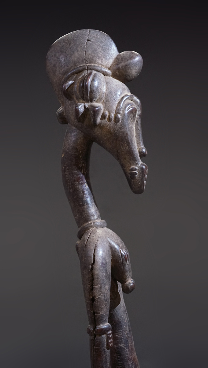 GSC00921