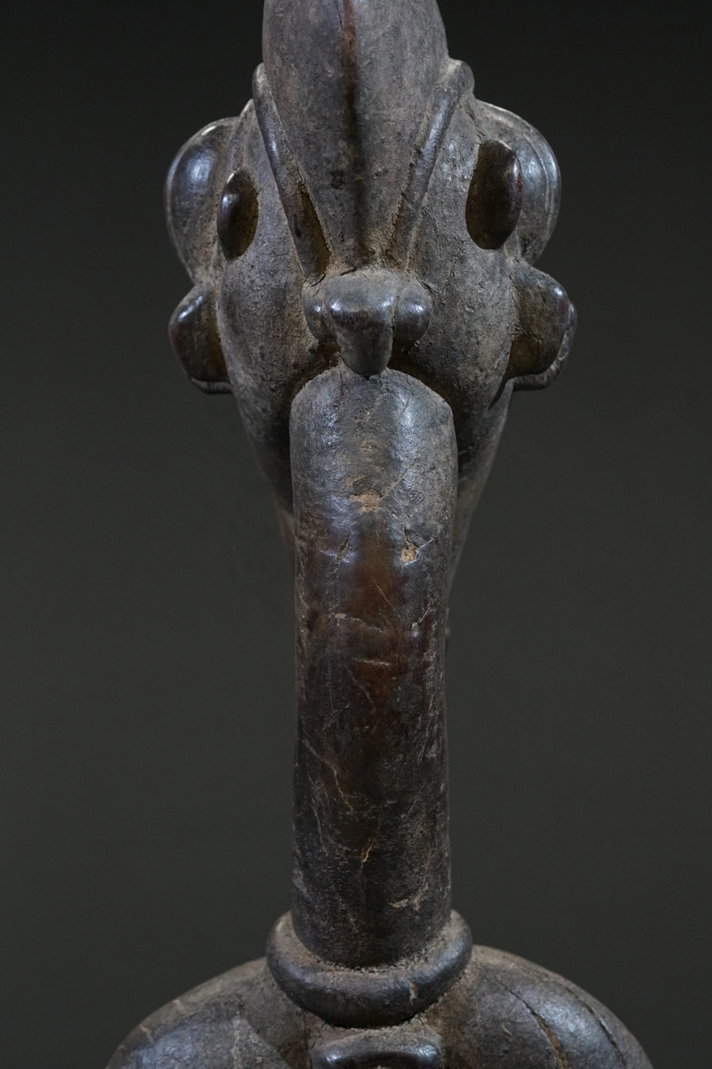 GSC00946