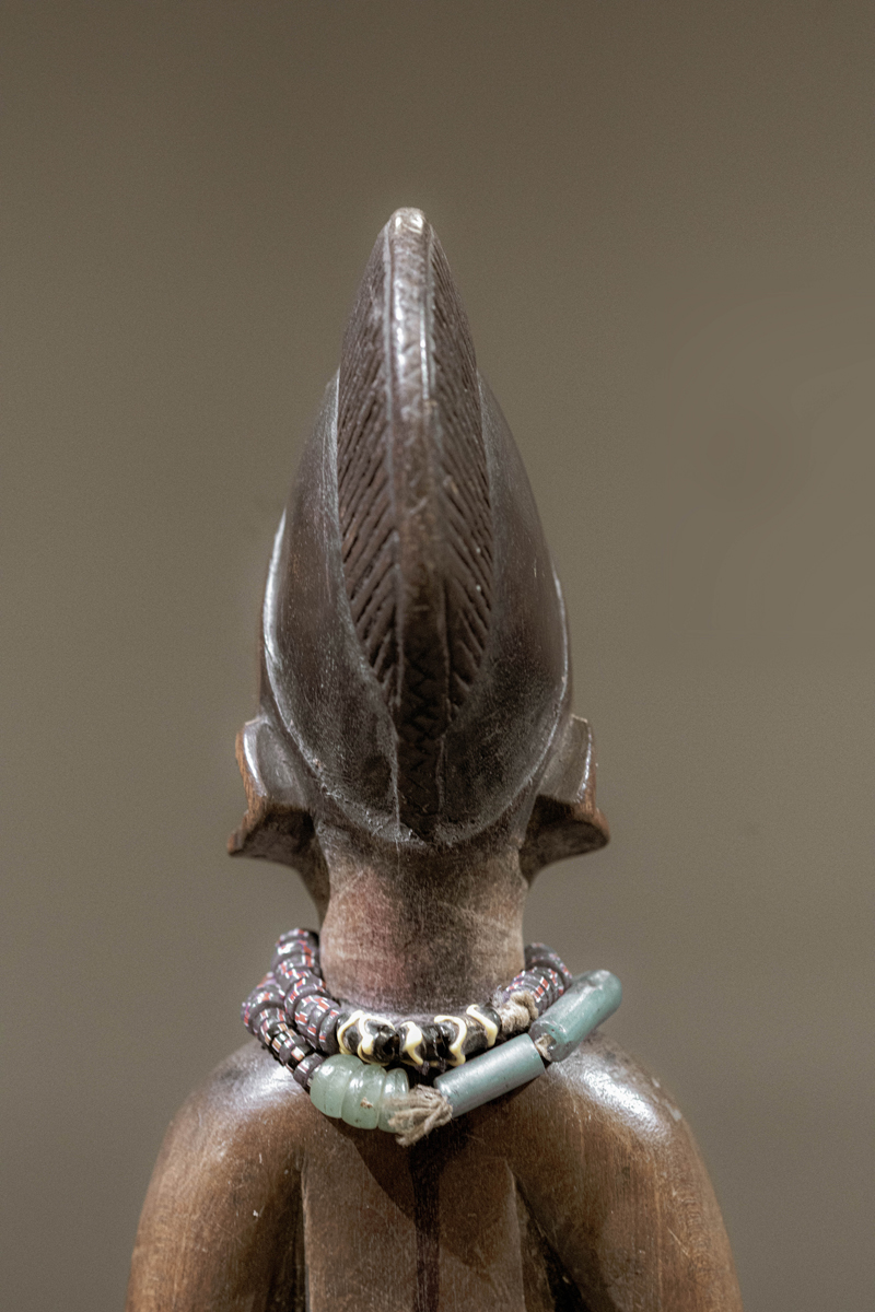 GSC05438