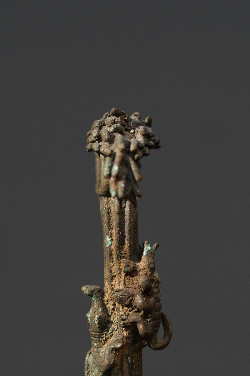 GSC07272