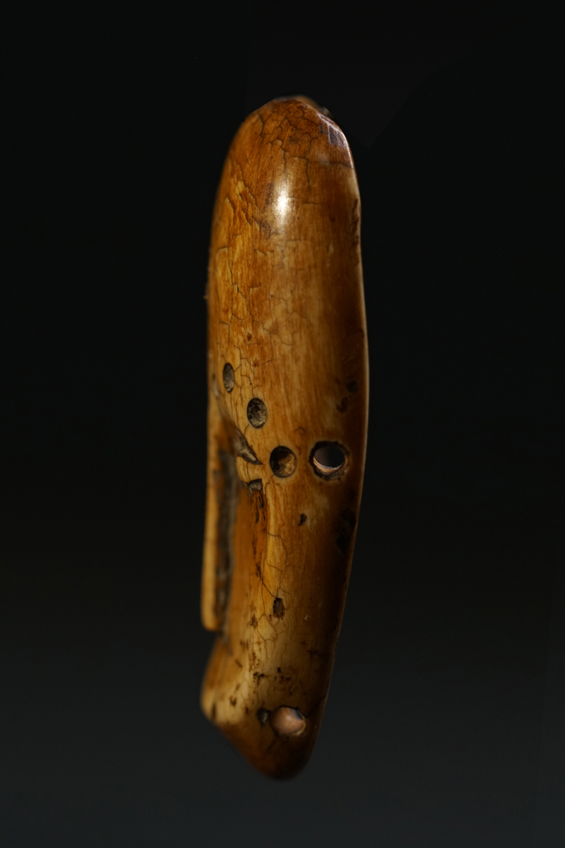 GSC07329