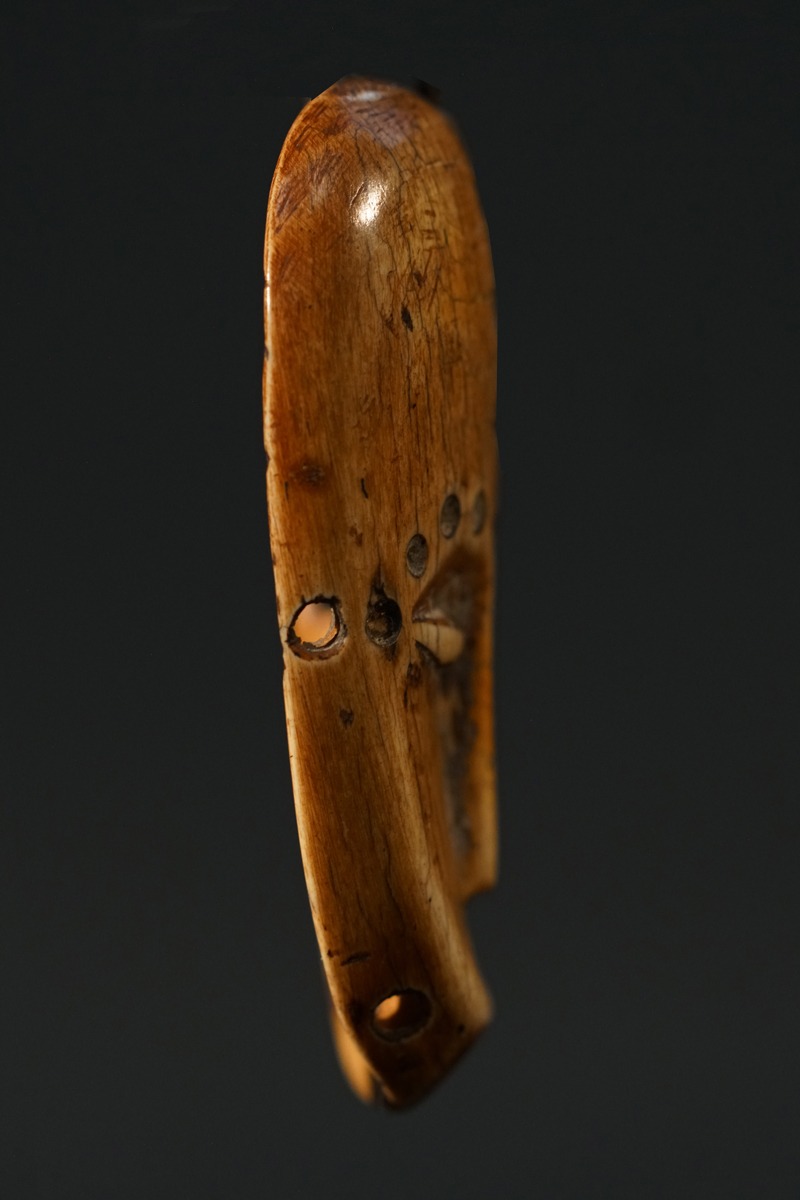 GSC07339