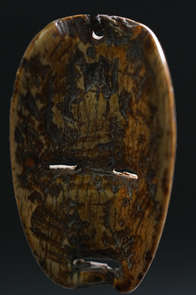 GSC07404