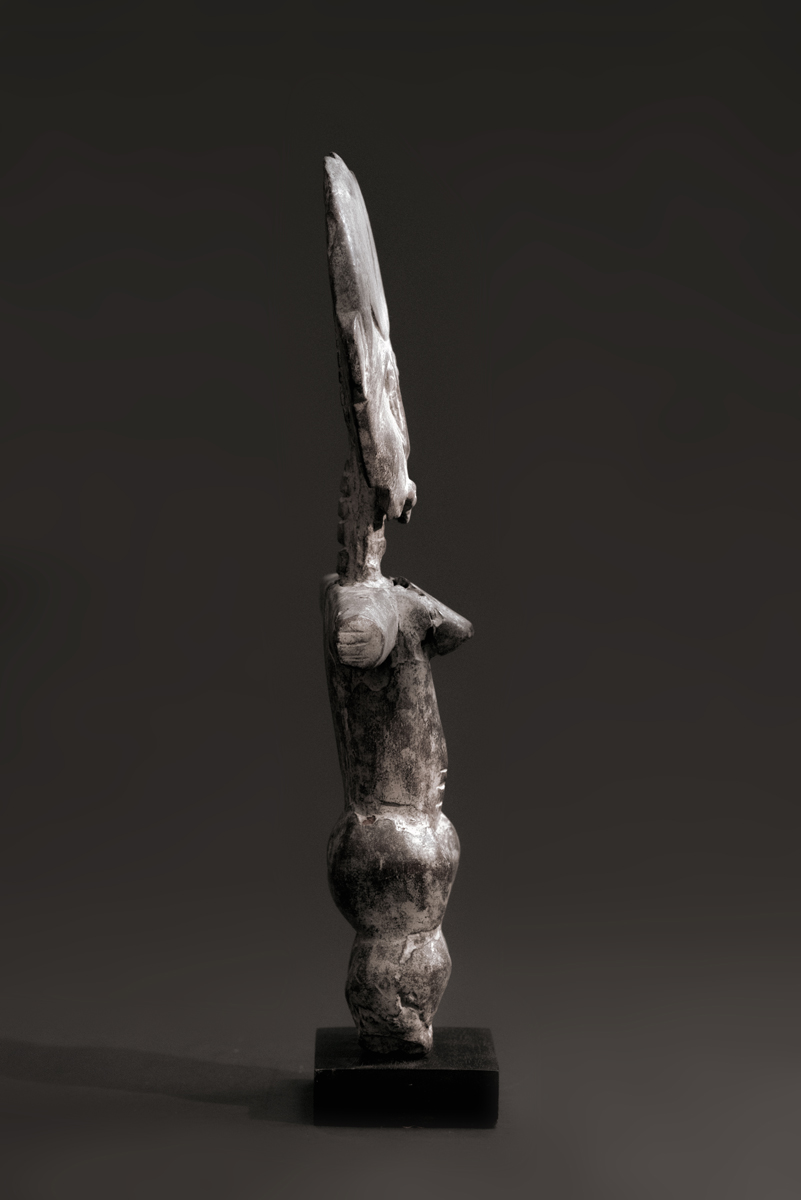 GSC07516