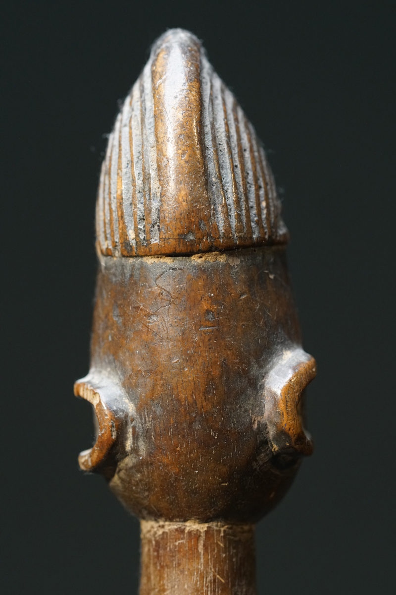 GSC00254