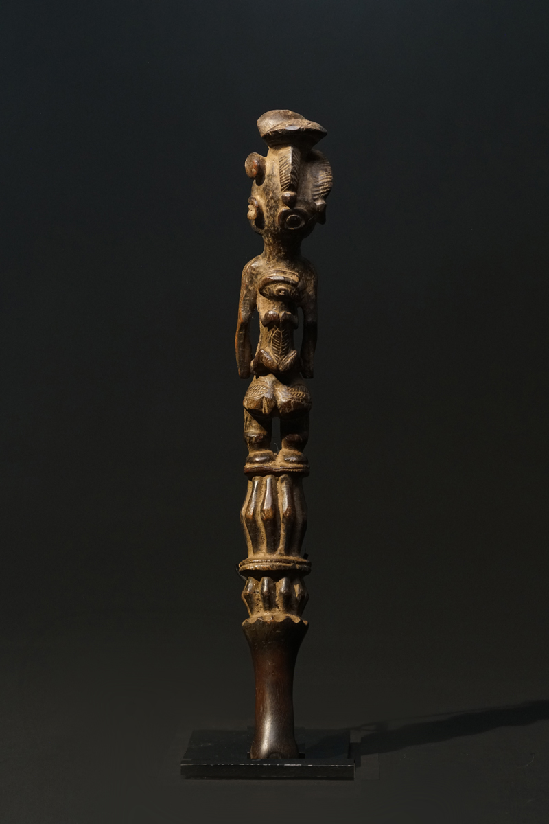 GSC08995