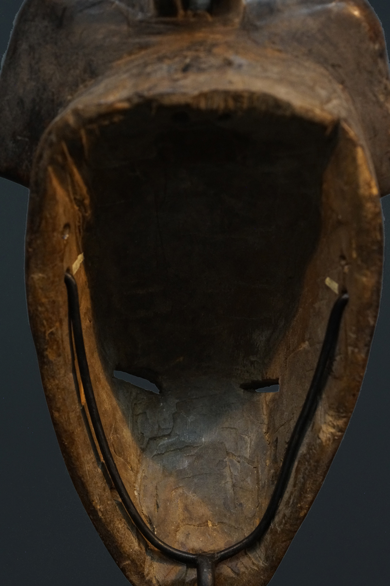 GSC09487