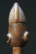 GSC00254
