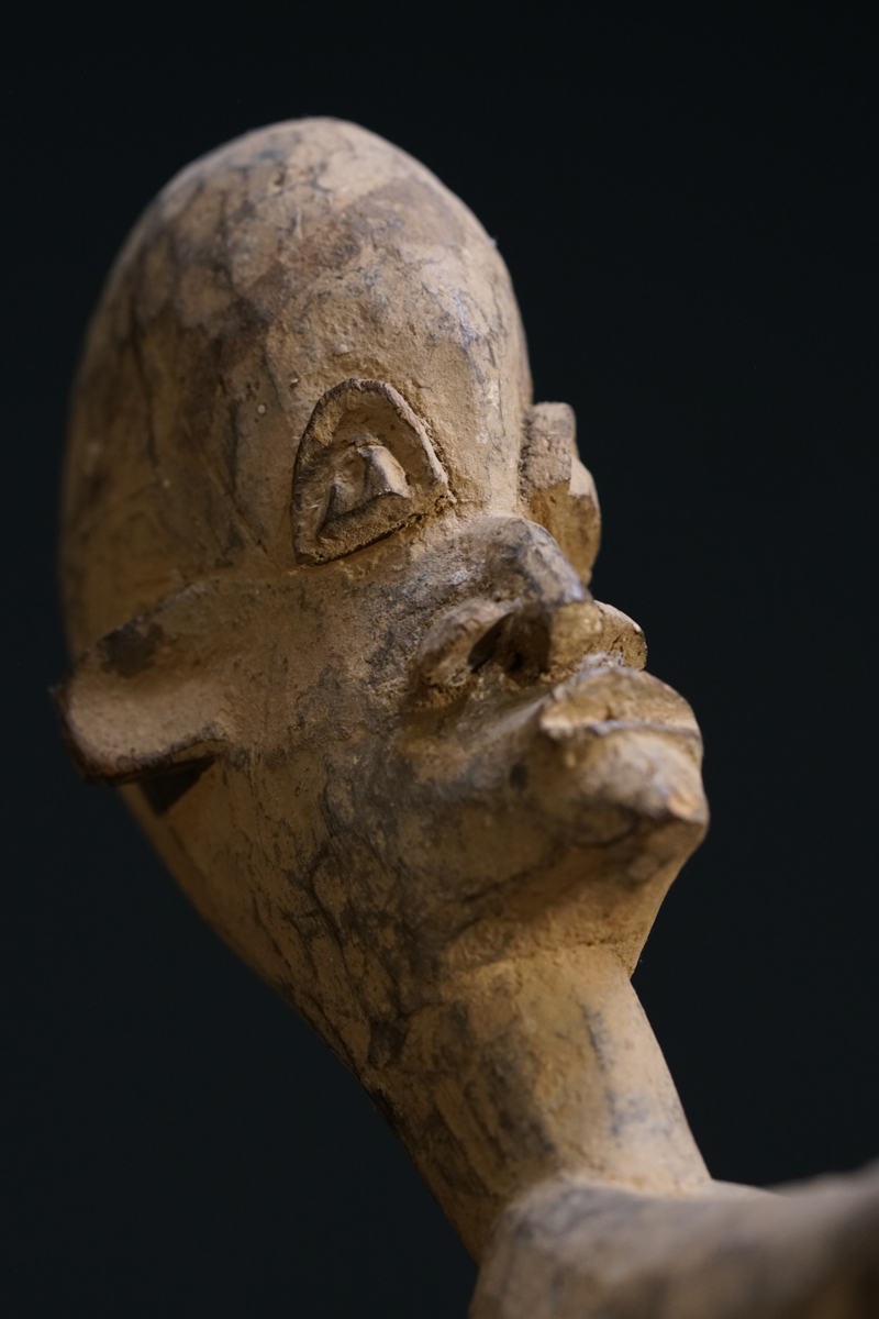 GSC00556