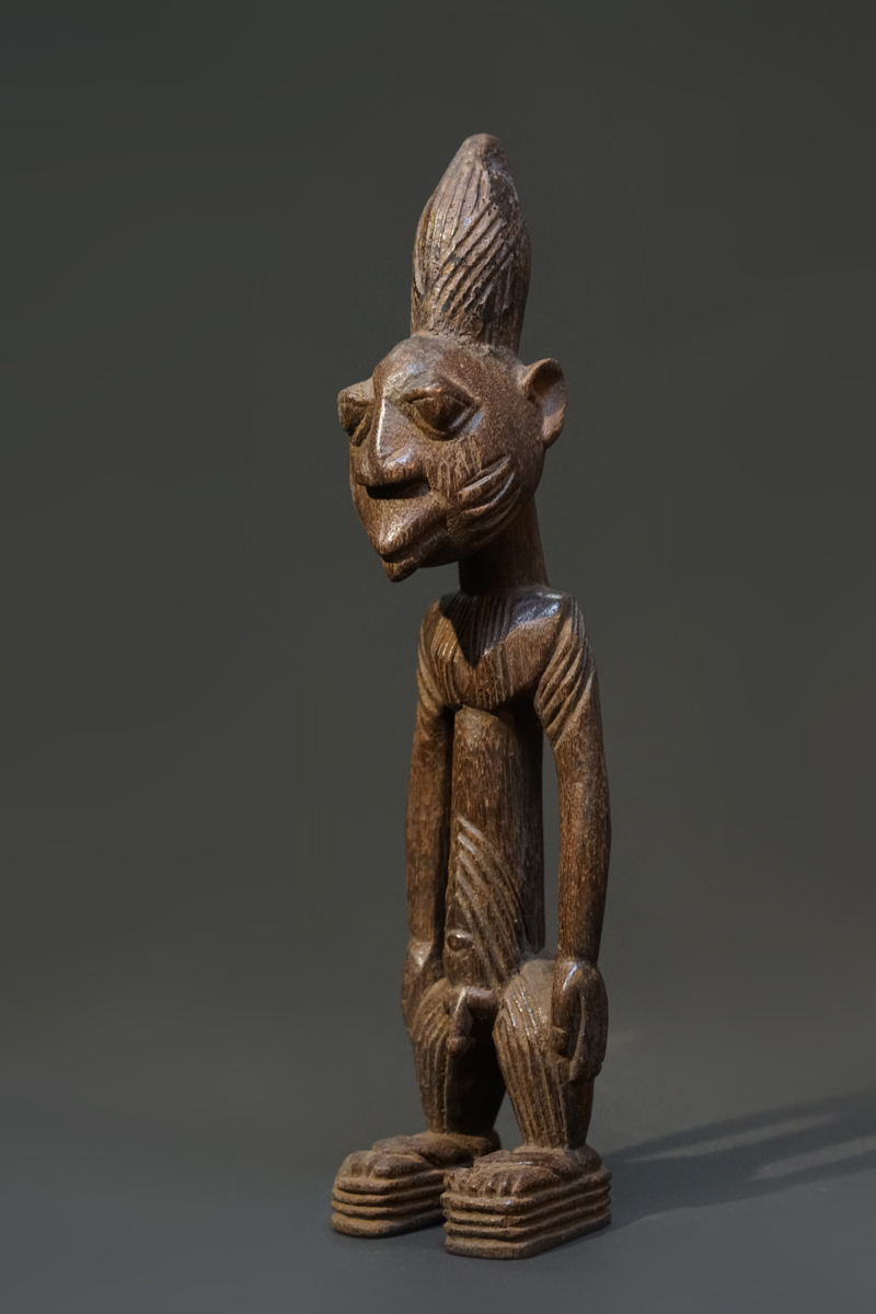 GSC01031