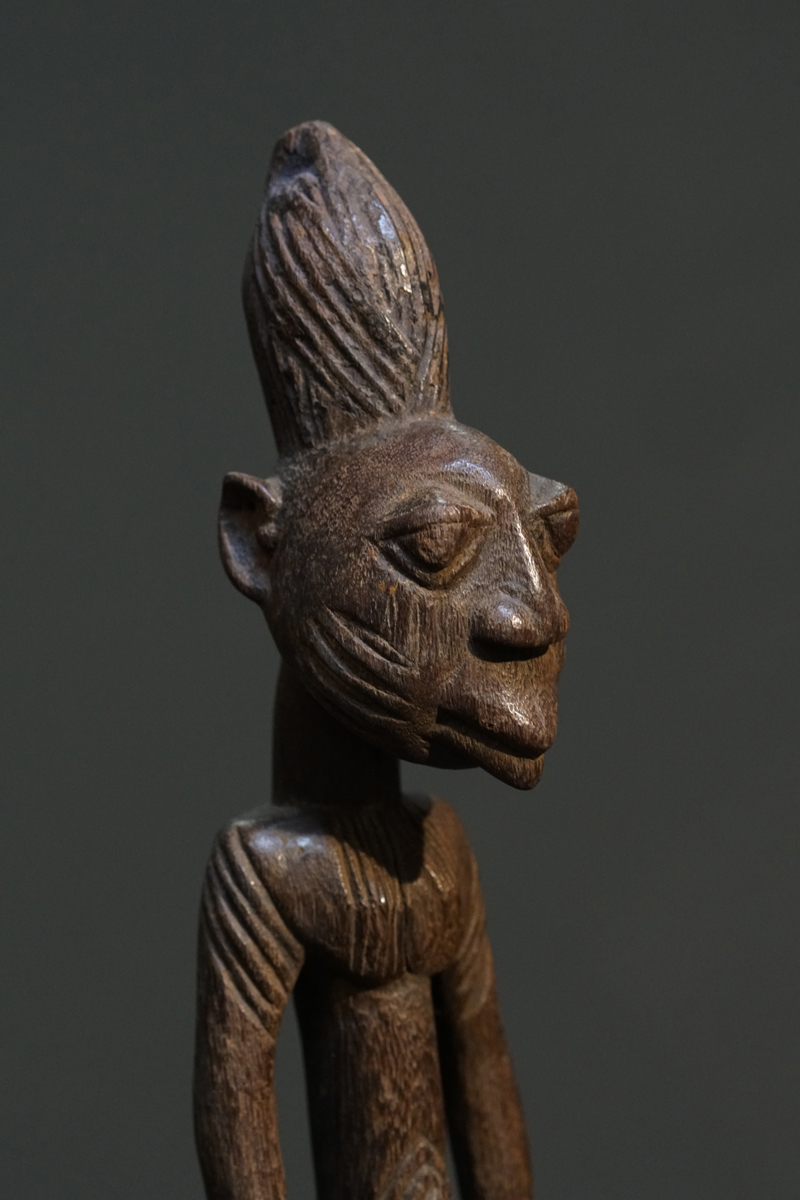 GSC01081