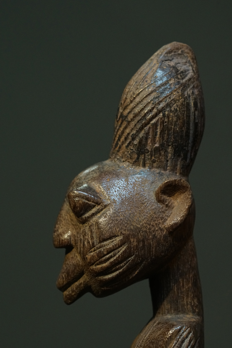 GSC01095