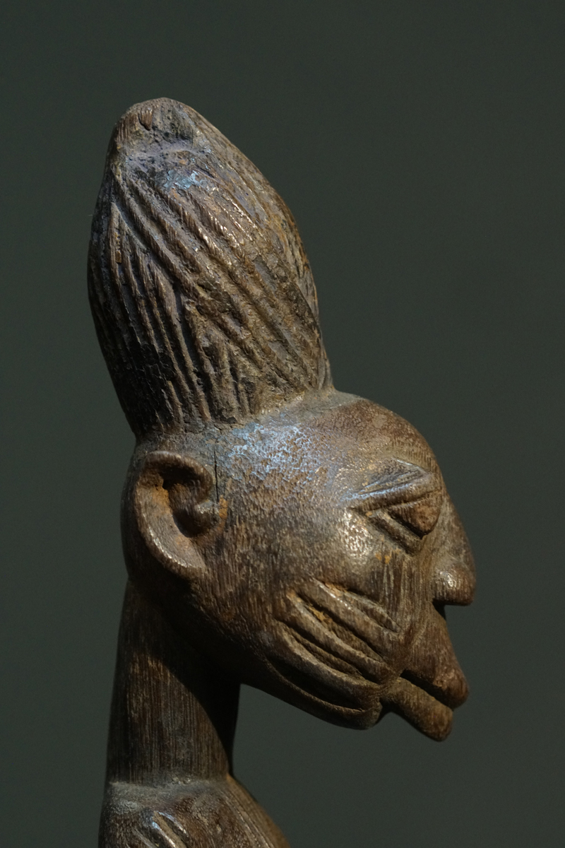 GSC01102