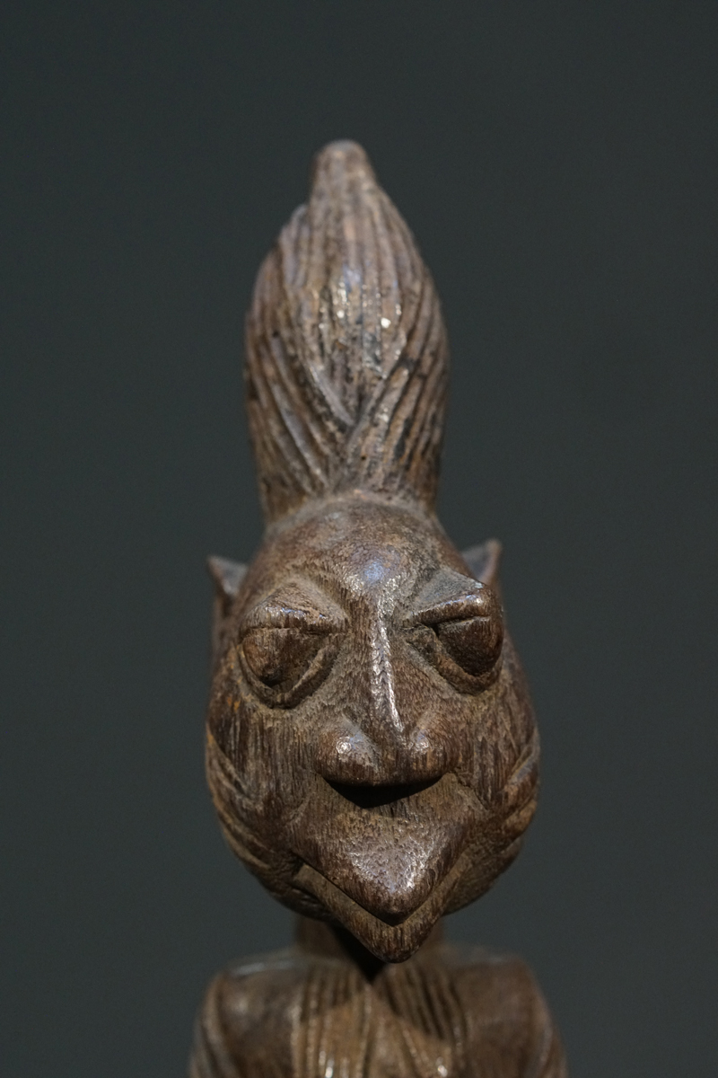 GSC01110