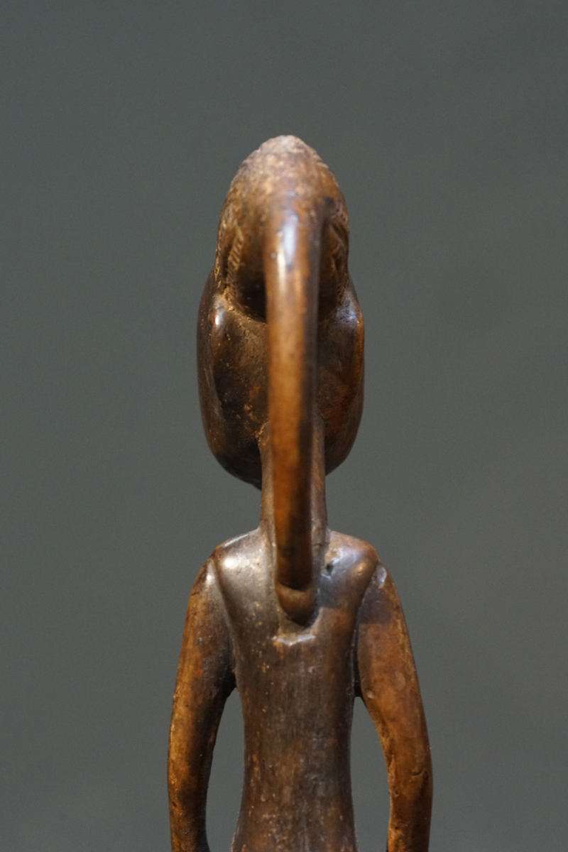 GSC01231