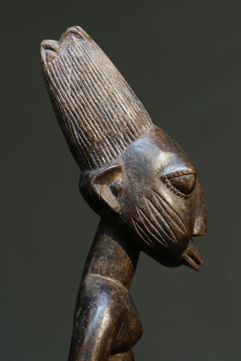 GSC01426