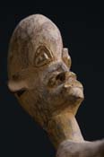 GSC00556