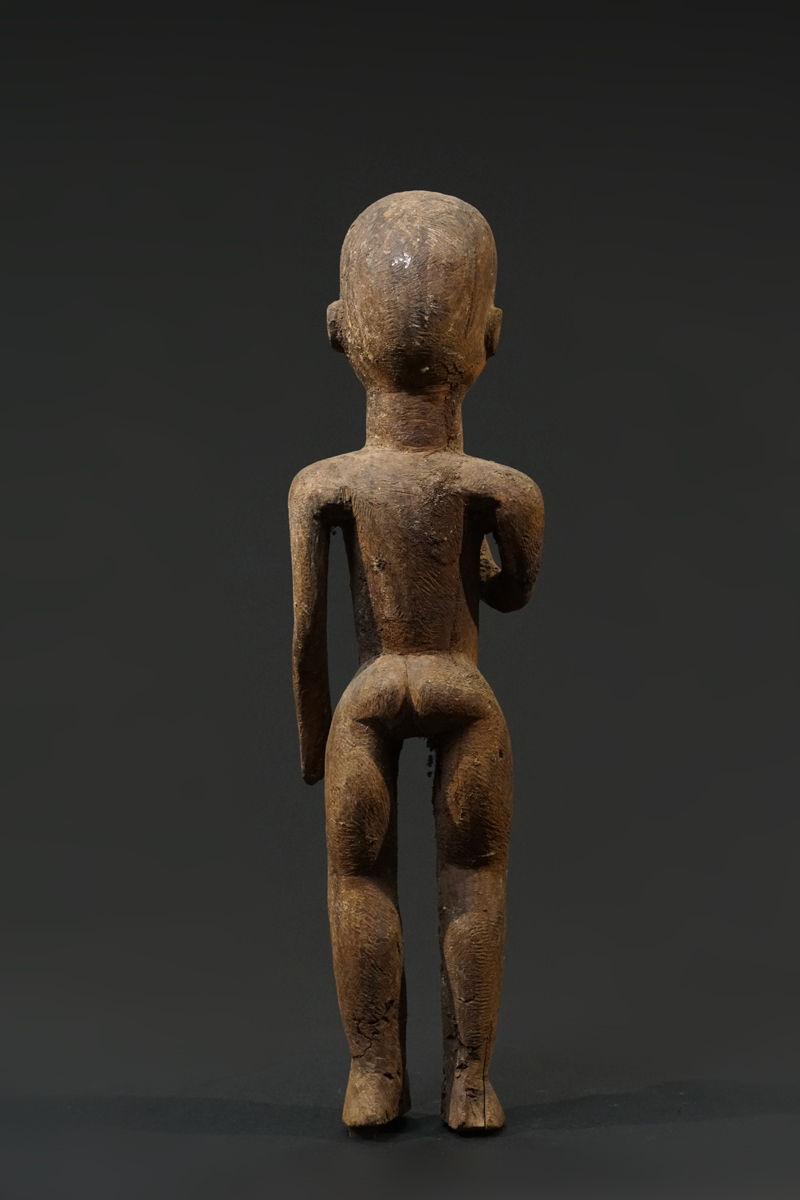 GSC02096