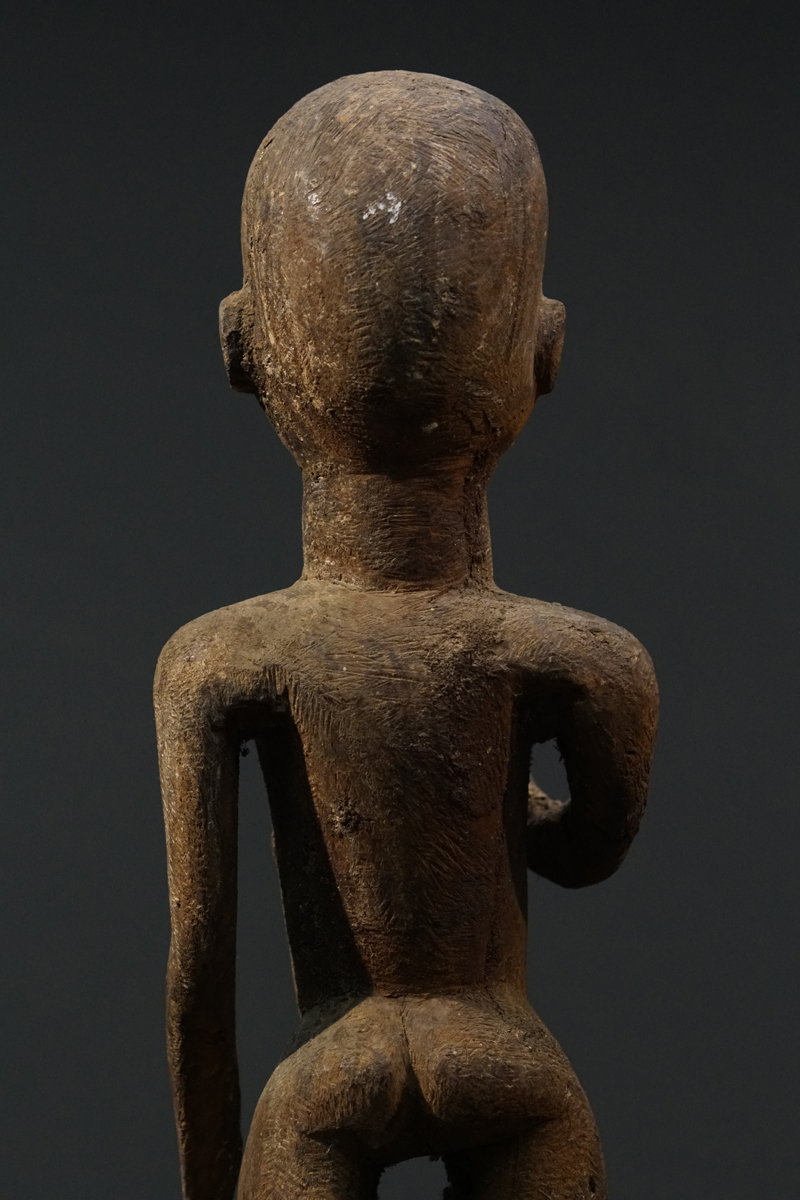 GSC02126