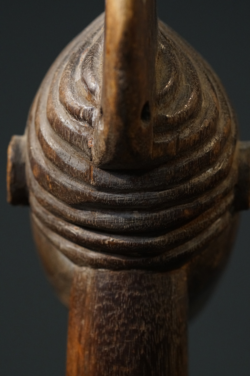 GSC02248