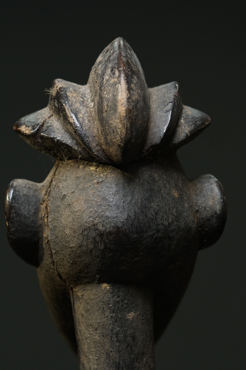 GSC02615
