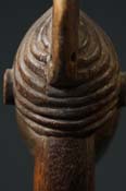 GSC02248