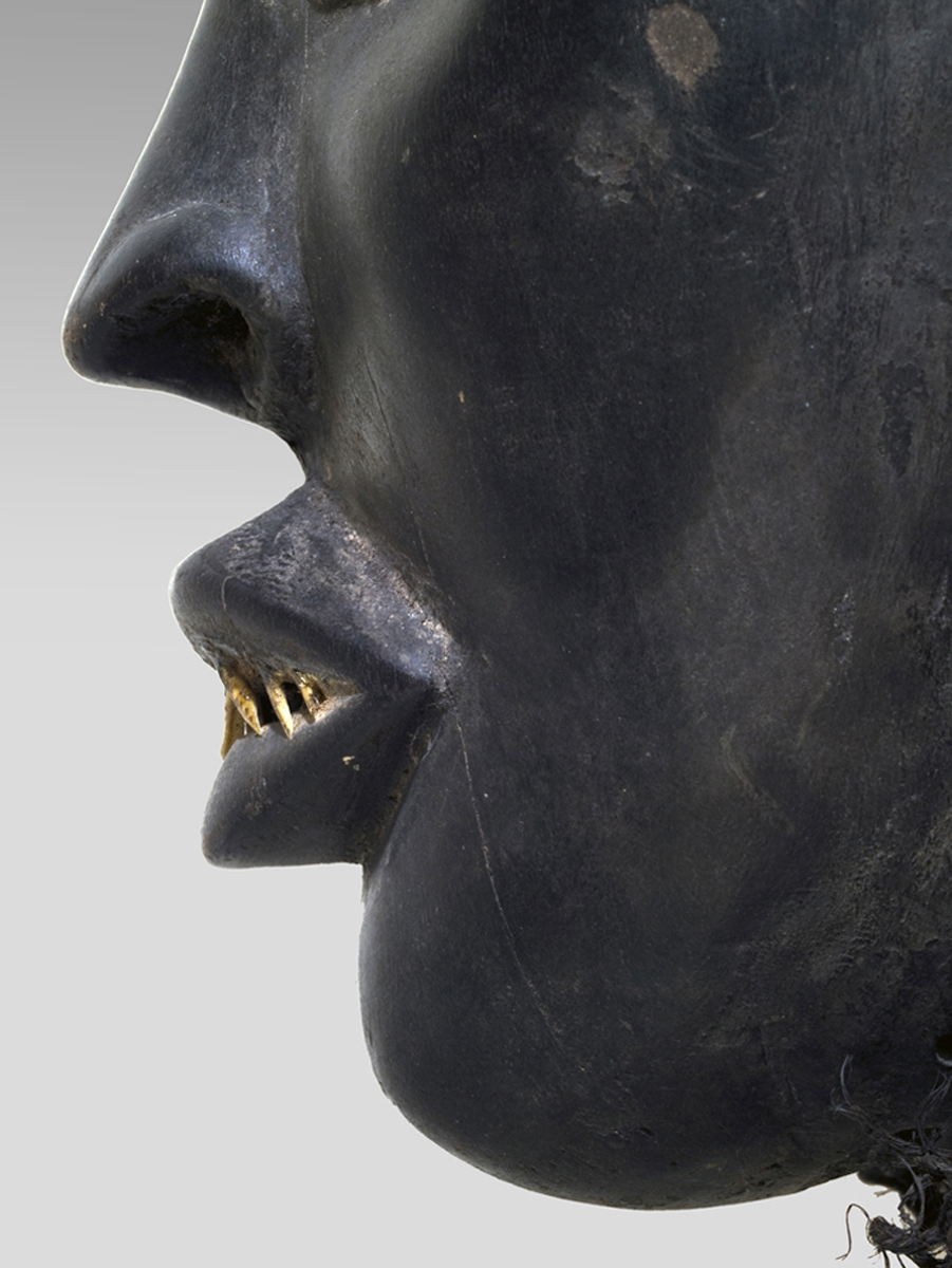 P4235773