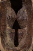 FBW01894